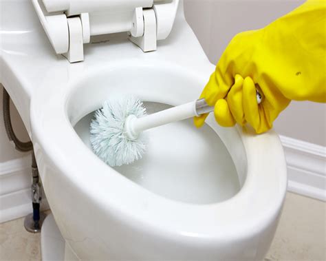 5 Ways to Make Your Toilet Hygiene - Lycos Ceramic PVT LTD