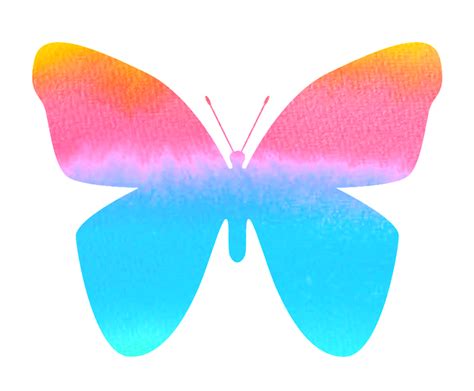 Butterfly Color Colorful · Free image on Pixabay