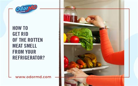 Get Rid Of The Rotten Meat Smell From Your Refrigerator?