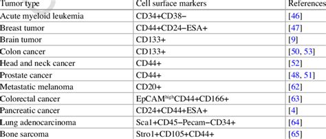 Cell surface markers correlated with cancer stem cells | Download ...