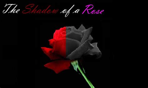 The Shadow of a Rose by TysanTheEchidna on DeviantArt