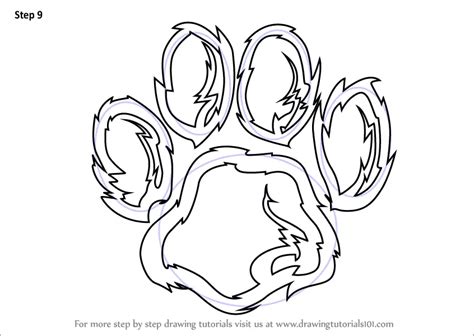 How to Draw a Tiger Paw (Animals for Kids) Step by Step ...