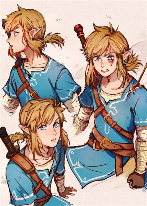 link legend of zelda | Legend of zelda, Legend of zelda breath, Breath ...