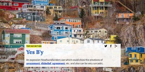 16 Newfoundland Slang Dictionary Terms All Canadian Need To Know - Narcity