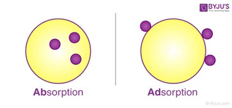 Factors Affecting the Extent of Adsorption and Exothermic Nature