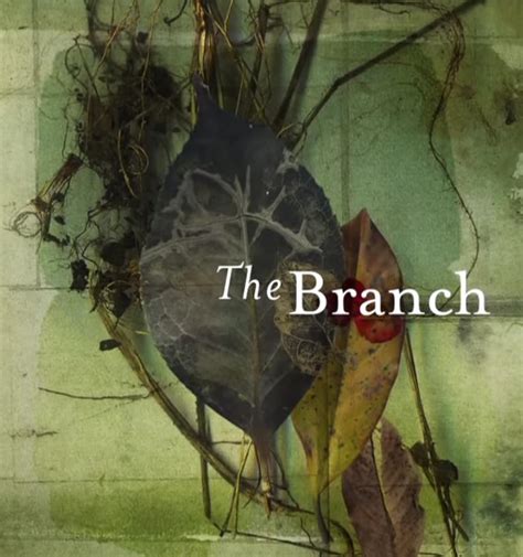 The Branch (2011)