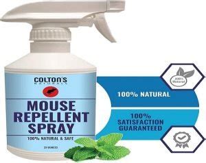 6 Best Mouse Repellent Spray - BestDailyReviews