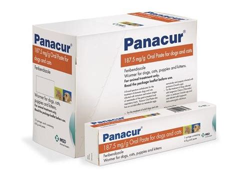 Panacur® 187.5 mg/g Oral Paste for Dogs and Cats | MSD Animal Health HUB