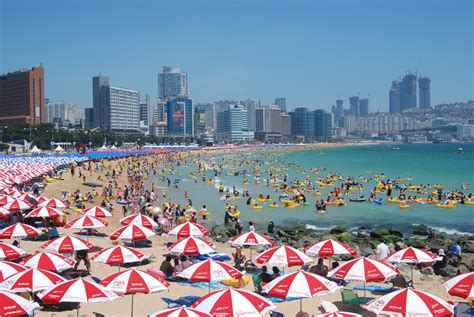 Top 5 Beaches to Visit in Busan This Summer