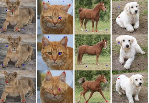 AI Tool Allows Drag-and-Drop Image Manipulation with Impressive Results - Science news - Tasnim ...