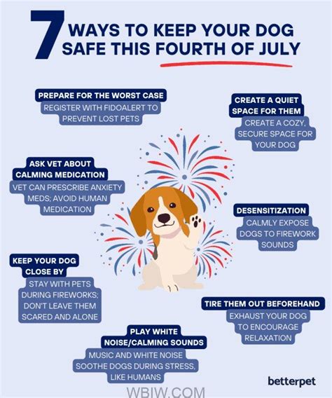 Keep dogs calm amid 4th of July Fireworks | WBIW