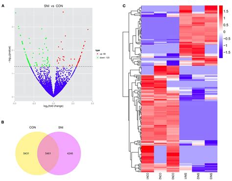 Whole Transcriptome Sequencing - Novogene