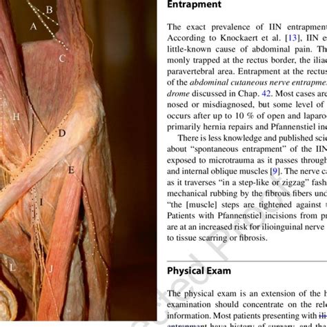 5 Diagnostic tests for ilioinguinal and iliohypogastric nerve entrapment | Download Table