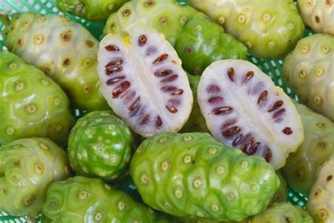 Get to Know the Health Benefits of Noni FruitHealth Digezt | Health Digezt