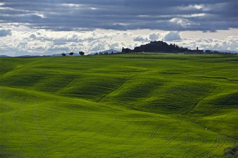 Green glass field, tuscany HD wallpaper | Wallpaper Flare