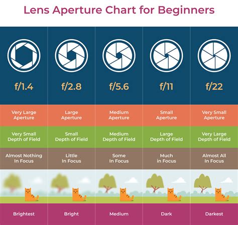 How To Lock Aperture On Nikon Lens (The Only Guide)