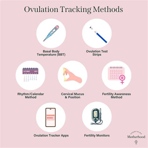 How to Track Ovulation: Expert Guide to 7 Tracking Methods