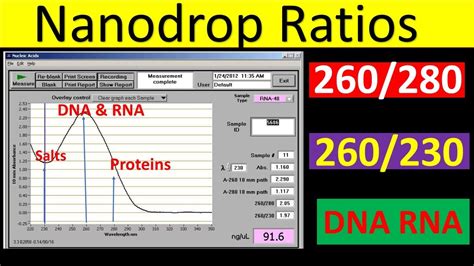 Nanodrop Ratios Explained | 260/280 ratio DNA | 260/280 ratio RNA | 260 ...