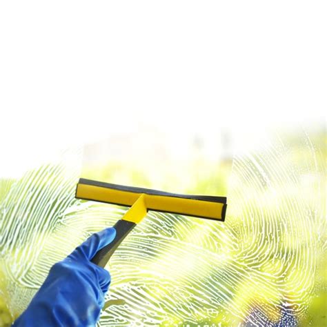 Expert Window Cleaning & Maintenance Tips | All-Weather