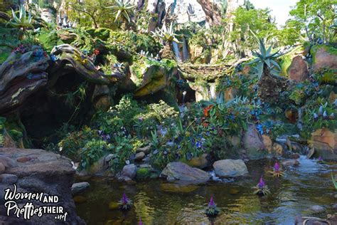 My journey on Disney's Pandora – World of Avatar rides | Avatar Flight ...