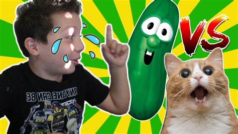 Reacting to cats vs cucumbers | Laugh at your own risk - YouTube