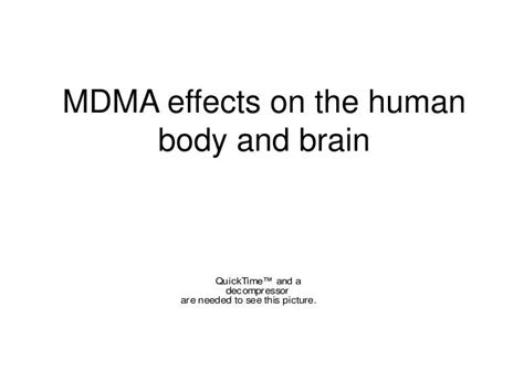 PPT - MDMA effects on the human body and brain PowerPoint Presentation - ID:4257050