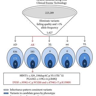 Whole Exome Sequencing analysis. Whole Exome Sequencing was completed... | Download Scientific ...