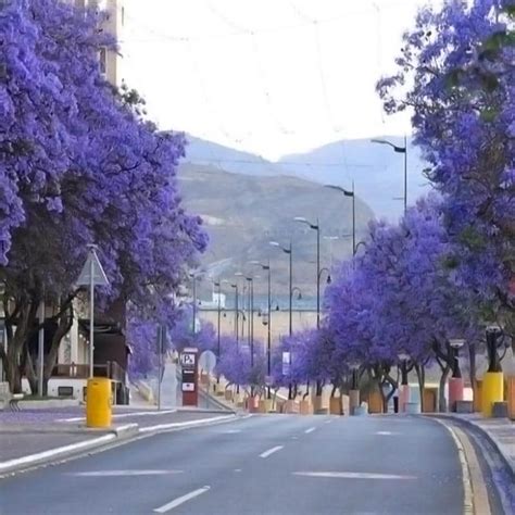 Abha City Tour | My Saudi Tours