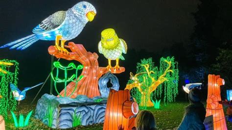 WildLanterns: Guide for Seattle Families | 2022- Tinybeans