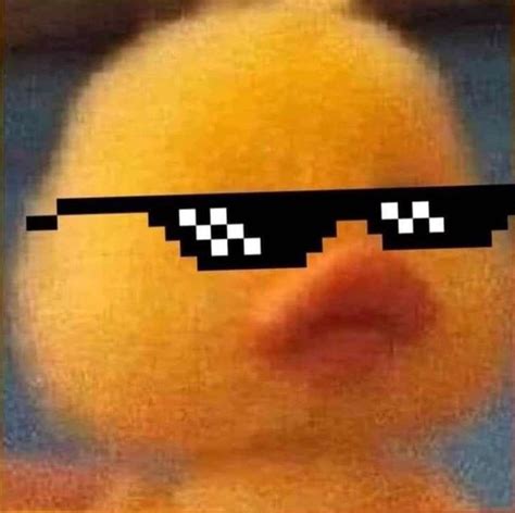 Ducky🐣 in 2023 | Pfp funny aesthetic, Cool pfps for discord, Funny profile pictures