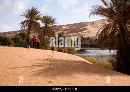 Libya Sahara Desert Oasis Lake Um el Ma Stock Photo - Alamy