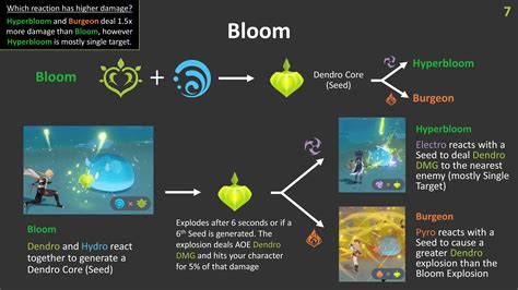 Dendro Reactions Explained : r/Genshin_Impact