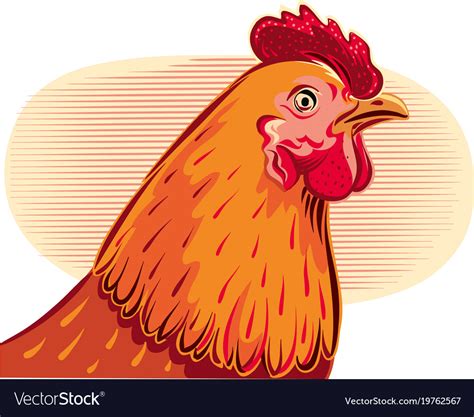 Chicken head Royalty Free Vector Image - VectorStock