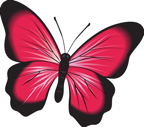 butterfly pink biru clipart - Amelia Welch