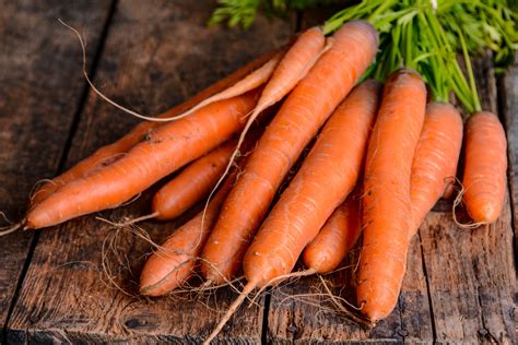 Carrots: Planting, Growing, and Harvesting Carrots | The Old Farmer's Almanac