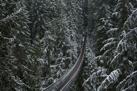 Capilano Suspension Bridge in the Winter & Canyon Lights Festival - xoxoBella