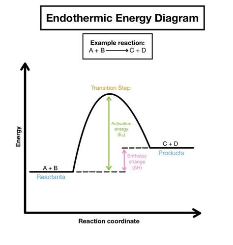 Endothermic and Exothermic Reactions — Overview & Comparison - Expii