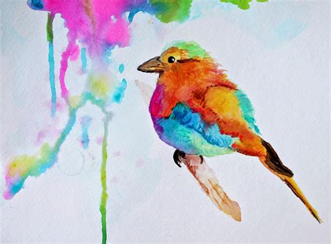 Colorful Watercolor Bird Painting - Marcia Beckett