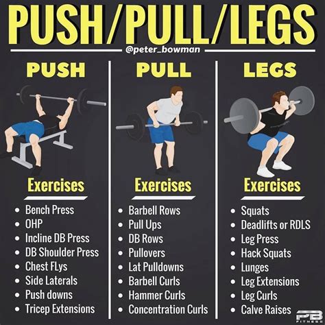 Push/Pull/Legs Split: 3-6 Day Weight Training Workout Schedule and Plan ...