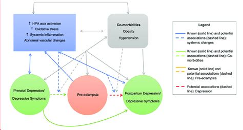 Concept map of associations between risk factors and conditions. Solid... | Download Scientific ...