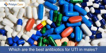 What Are The Best Antibiotics For UTI In Males? - Pristyn Care