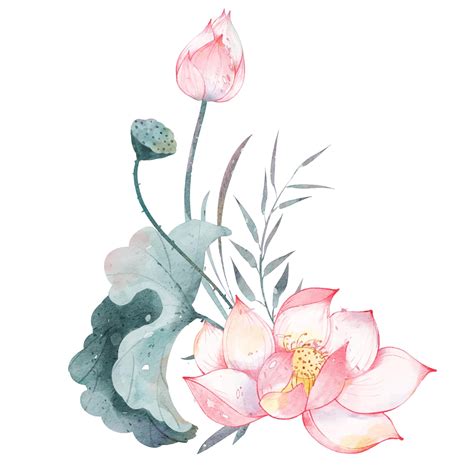 Premium Vector | Composition of pink lotus flower watercolor vector illustration