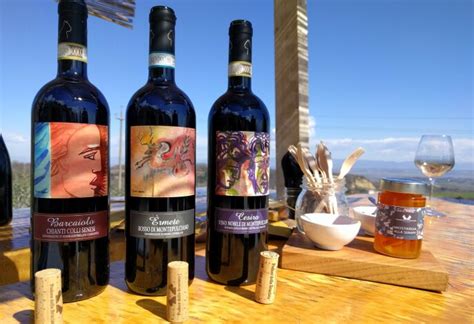 Top 10 Tuscan Wine Tours in 2023 | Winetourism.com