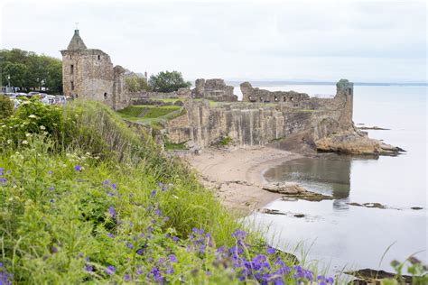 Free Stock Photo 12791 Scenic view of the ruins of St Andrews Castle ...