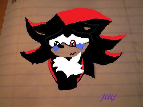 shadow the hedgehog...crying? by sonamy33 on DeviantArt