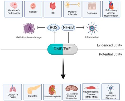 Pharmaceuticals | Free Full-Text | Dimethyl Fumarate and Its Esters: A Drug with Broad Clinical ...