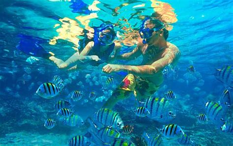 Cabo Snorkeling – A Journey Through Cabo’s Finest Snorkeling Sites - Cabo Sailing