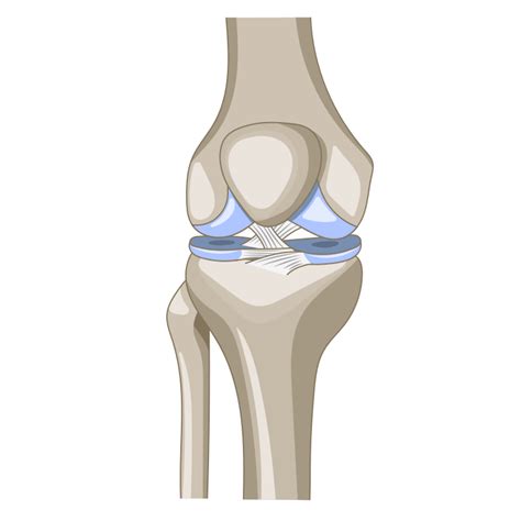 Álbum de graduación Haz lo mejor que pueda Premonición knee joint ...