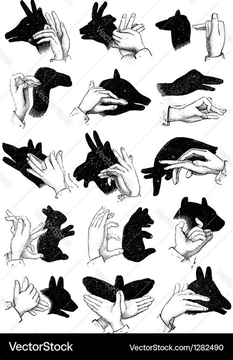 Hand shadow animals Royalty Free Vector Image - VectorStock