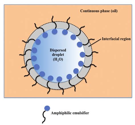 Water In Oil Emulsion Diagram - slidesharetrick